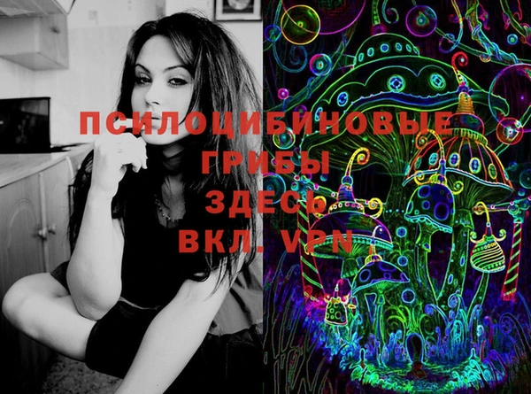 герыч Алзамай