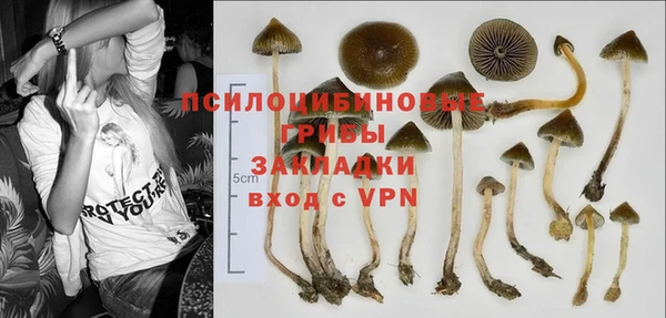 трава Абаза